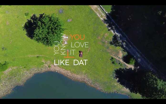 Like Dat by Rankin Delgado new lyrics video